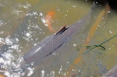今日通报“被黑了取不出钱怎么办这里有办法”需要预防