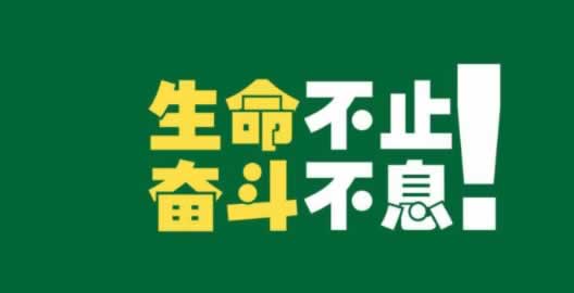 处理方案（图）