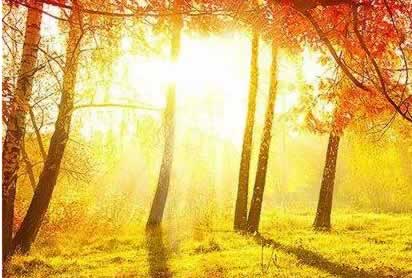 取款三方审核24小时、需要预防