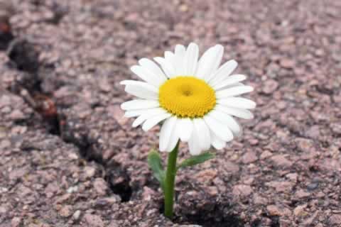 一直让罚流水不给出款解决办法千万别被坑了、解决几种办法