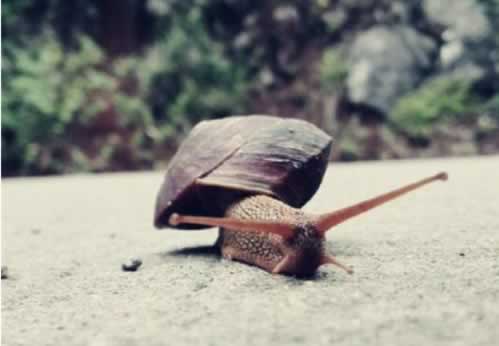 一分钟介绍“遇到王头系统自动抽查审核不能到账.“揭露内幕真相