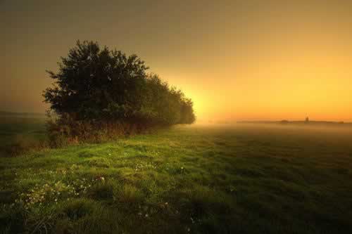 给大家讲解“数据未同步提不了钱怎么办掌握更多”...打电话给黑大师