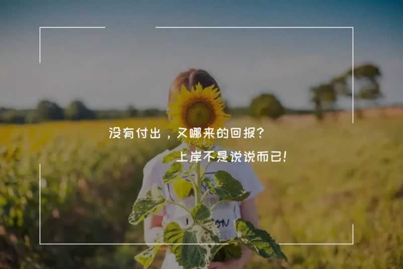 网站被黑财务审核风控审核不给出款——打电话给黑大师