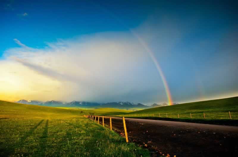 今日通报“谁能解决被黑第三方出款通道维护不给”——被黑解决的办法