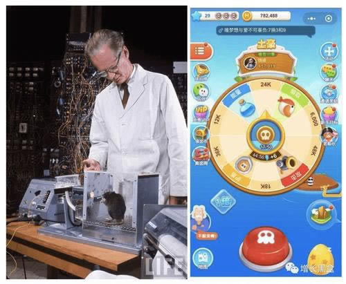 今日通报“黑平台被黑财务系统维护部门风控审核一直不给提款”\解决最好的办