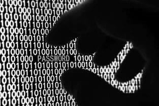 在黑网抽查审核要多久、能出的办法