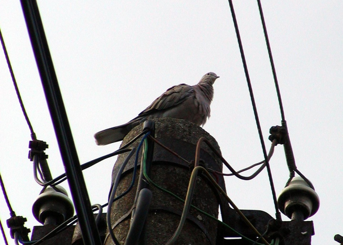 【大连漏油事件,20100716大连漏油事件】