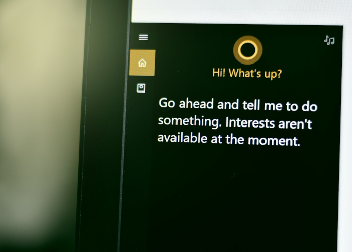 【冷兔大学堂,冷兔大学堂关闭了吗】